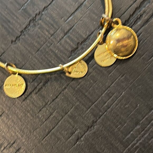 ALEX AND ANI BIRTHSTONE April Crystal CHARM BANGLE GOLD TONE Adjustable - Picture 4 of 6